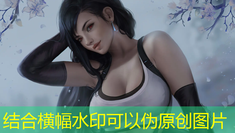 室内健身墙