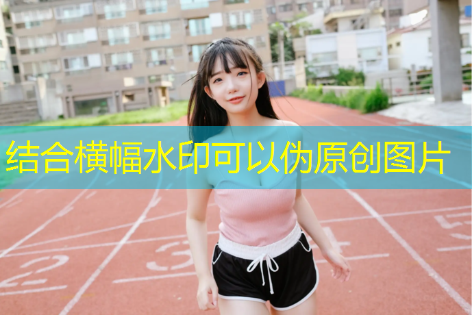 最好的篮球锻炼器材是哪种